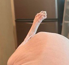 丸い物体から生えている棒状のもの