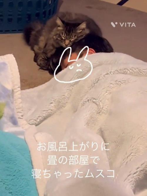 人の頭に寄りかかる猫