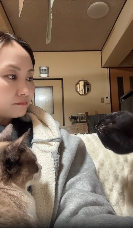 首をかしげる飼い主と猫