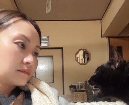 見つめ合う猫と飼い主2