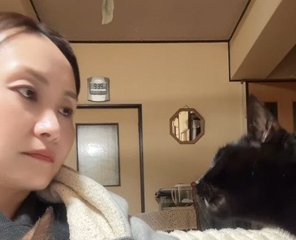 見つめ合う猫と飼い主