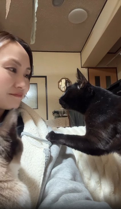 笑顔になる飼い主