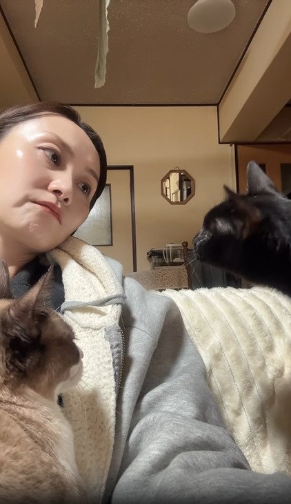 首をかしげる飼い主2