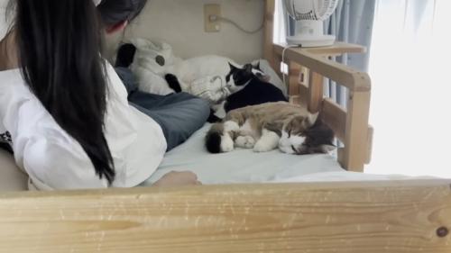 起き上がる娘さん