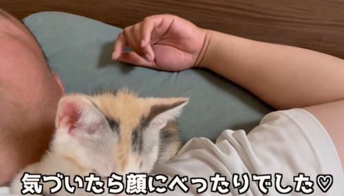 人の顔の横で寝る子猫（気づいたら顔にべったりでした）