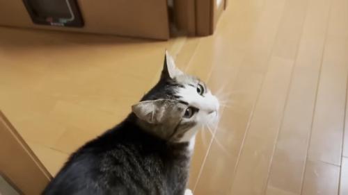 振り返り