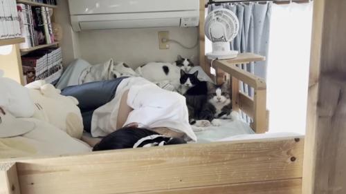 背中側に3匹
