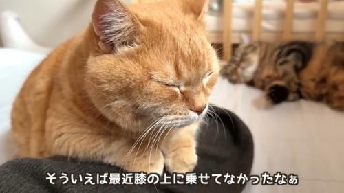 膝の上