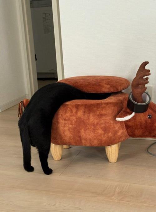 トナカイのスツールに上半身を入れる猫
