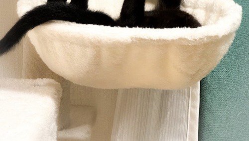 キャットタワーのハンモックでくつろぐ猫