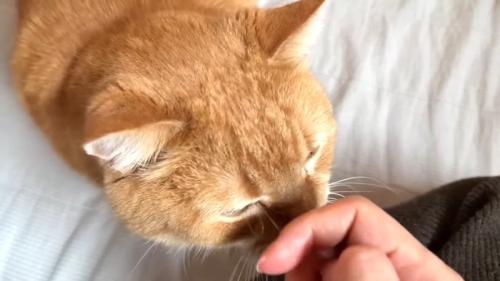 指にタッチ