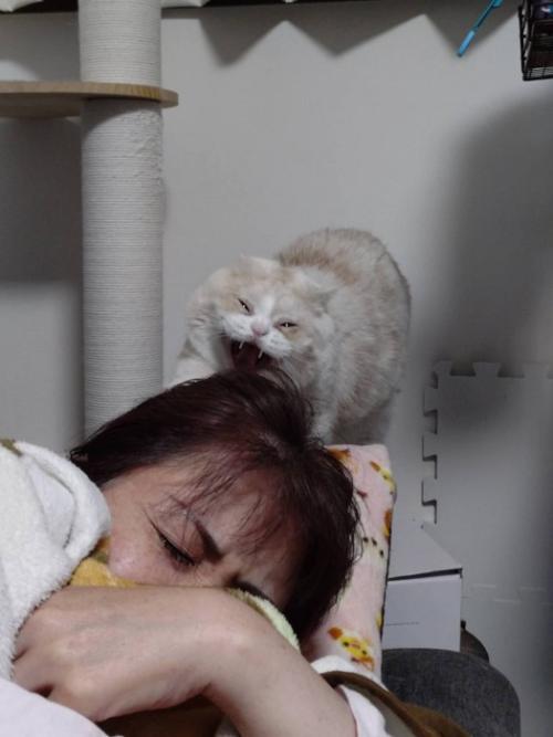 眠っている女性と猫