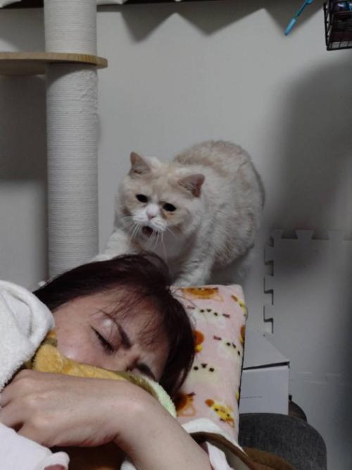 眠っている女性と猫