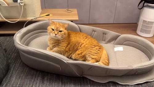 赤ちゃん用ベッド