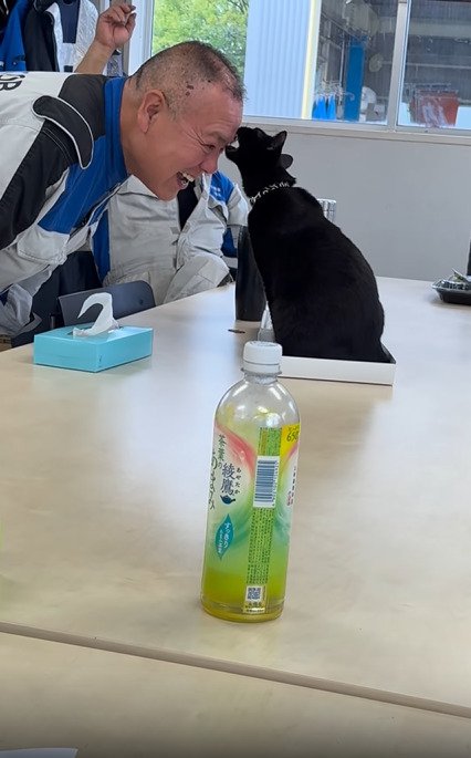 おでこを噛もうとする黒猫