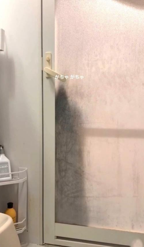 ドアを開けようとする猫