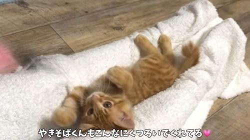 くつろぐやきそばくん