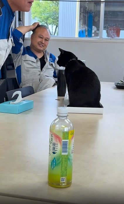 黒猫を見つめる男性