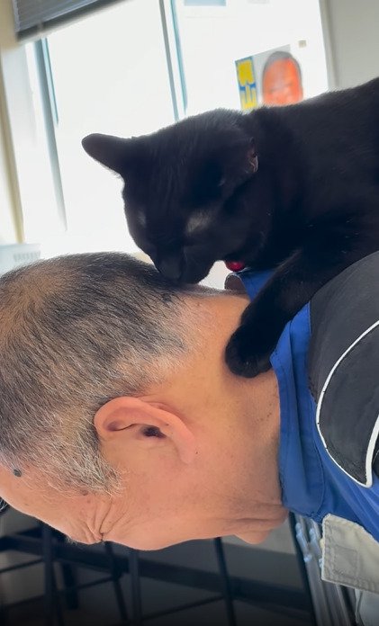 背中に乗った黒猫