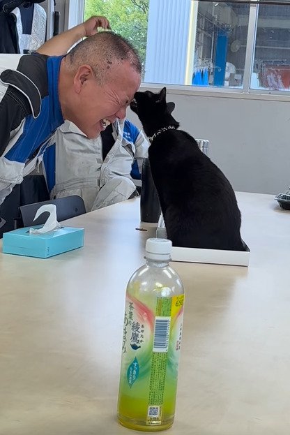 おでこを噛もうとする黒猫2