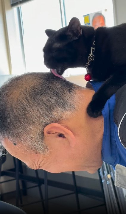 頭を舐める黒猫