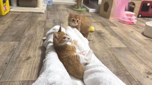 足の間で遊ぶ