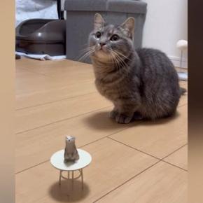『24個目の芸を覚えた猫』→ミニチュアテーブルを置いて指示すると…微笑ましすぎる光景が105万再生「なんて穏やかなｗ」「犬すぎる猫ｗ」