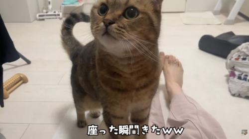 テロップ「座った瞬間きた」