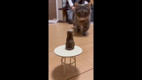 向かってくる姿