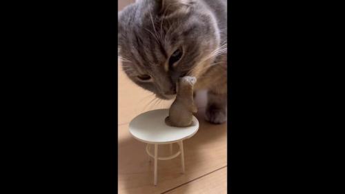 鼻でタッチ