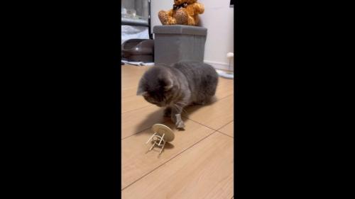 倒れたテーブル