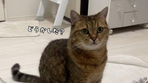 テロップ「どうかした？」