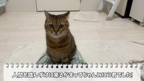 テロップ「人間を踏んずけにくる～」