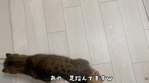 テロップ「あの、足踏んでます」