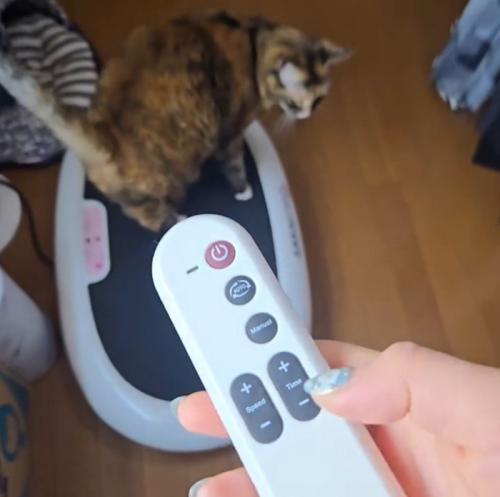 ダイエットマシンの電源をつける飼い主