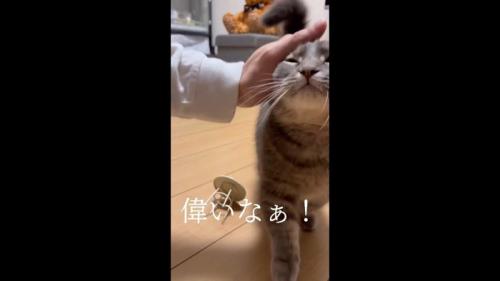 偉いなぁ！