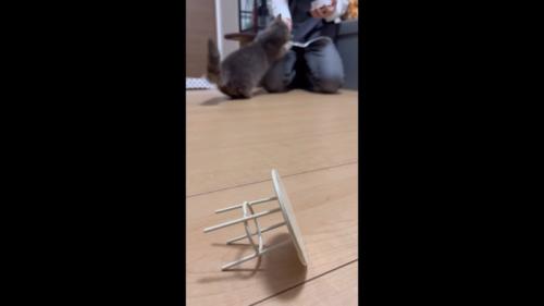 奥でおやつ