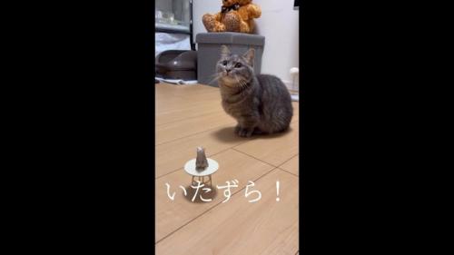 いたずら！