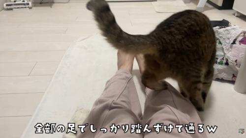 テロップ「全部の足でしっかり～」