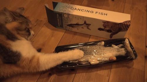 ビニールの上からタッチ