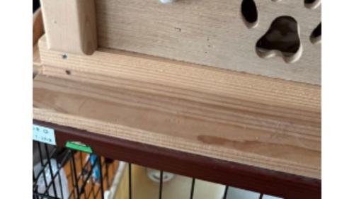 木製ハウス