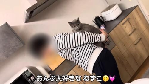 おんぶされている猫