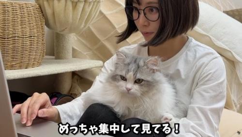 女性の膝の上に乗っている猫