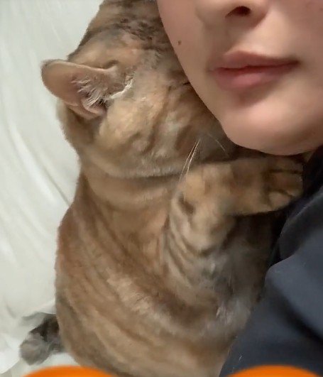 くっついている飼い主と猫