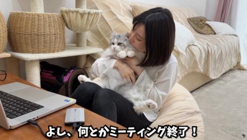 女性に抱っこされている猫