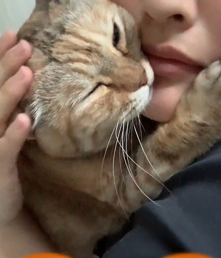 くっついている飼い主と猫