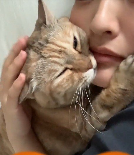 くっついている飼い主と猫