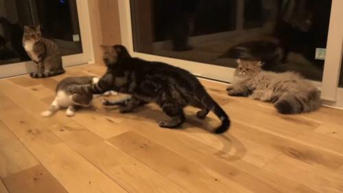 頭にパンチ