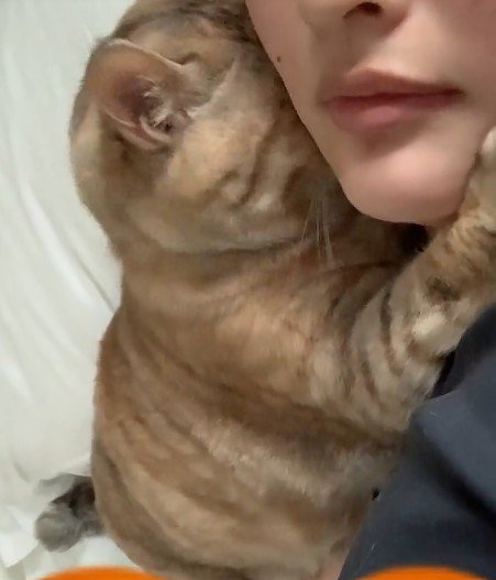 くっついている飼い主と猫