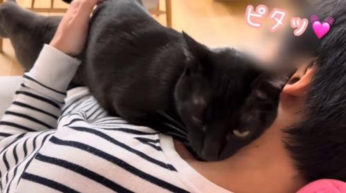 膝の上で甘える黒猫